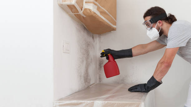 Professional Crawl Space Mold Remediation technician working in Darien, GA