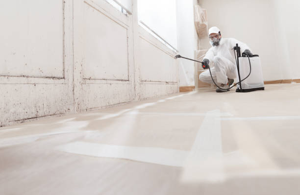24/7 Emergency Crawl Space Mold Remediation experts in Darien, GA