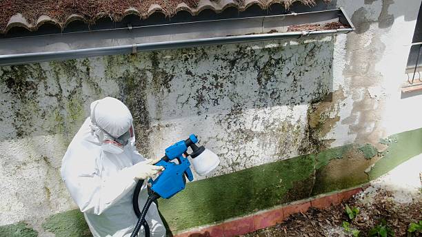 Top rated local Crawl Space Mold Remediation specialists in Darien, GA